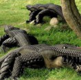 /album/nada-se-perde-tudo-se-trnasforma-arte-com-pneus/crocodilo-pneu-jpg/